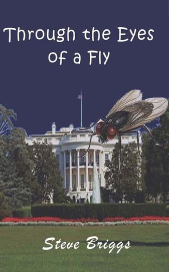 Through the Eyes of a Fly