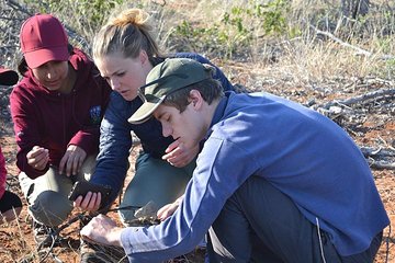 African Wildlife & Research Project