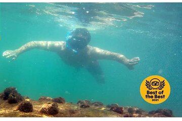 Macuco Island Diving Tour with photos included by Zimbros Ecotour