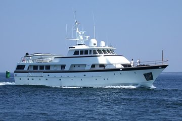 Arrival or Departure Private Transfer: Gatwick Airport to Southampton Cruise Port