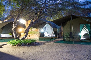 5 day Private Kruger Under Canvas Escorted Safari