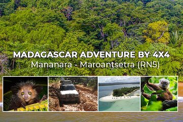 Expedition to Masoala Natioanal Park - Mananara Maroantsetra by 4x4