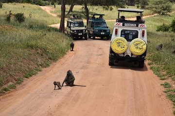 10 Days Perfectly Family Luxury Safari Tour Tanzania