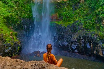 Private Tour - Rainforest & Waterfalls Extravaganza