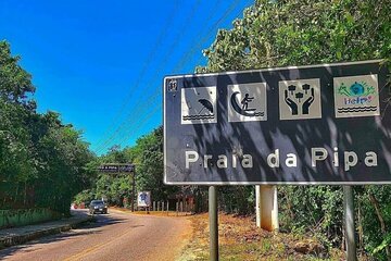 Pipa - RN