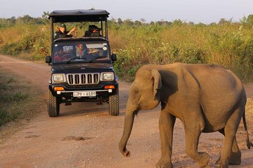 Afternoon Safari at Udawalawe National Park