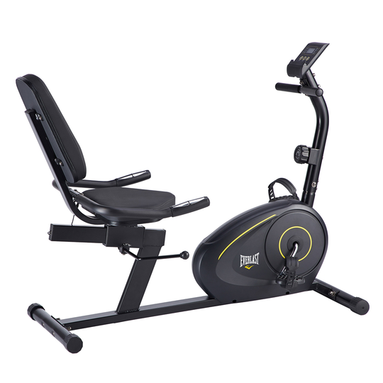 Everlast EV100RC Recumbent Cycle Exercise Bike