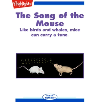 Song of the Mouse, The