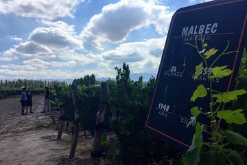 Wine, beer and spirits tour in private groups