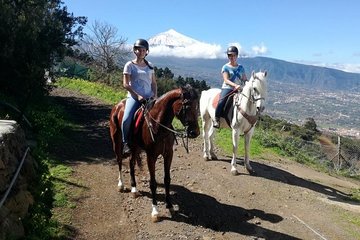 Horse riding in Puerto de la Cruz, Tenerife