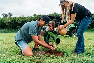 Planter's Experience