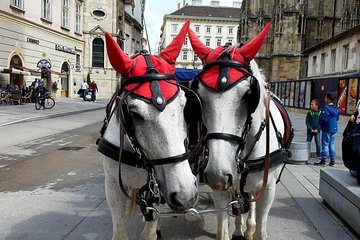 Sacher cake and Fiakker ride - a private Vienna tour from Budapest with guide