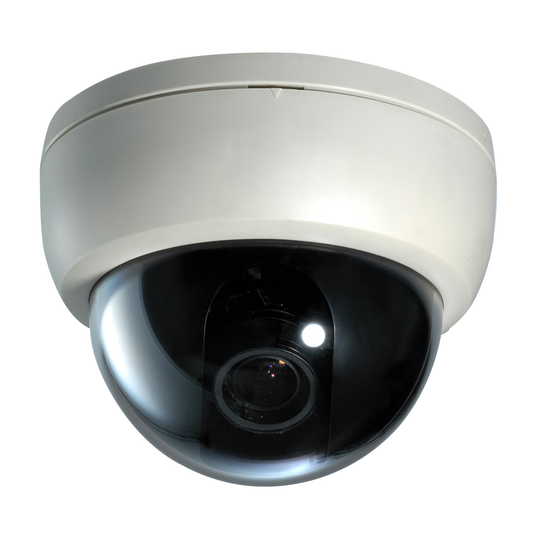 Seqcam Plastic Dome Colour Security Camera