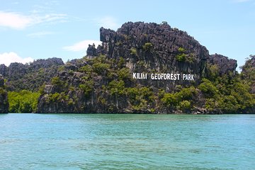 Mangrove Boat Tour